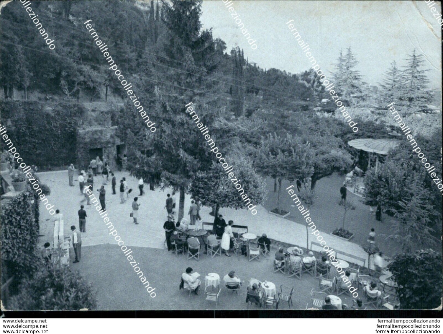 Bh588 Cartolina Chianciano Terme Sorgente S.elena Parco Provincia Di Siena - Siena