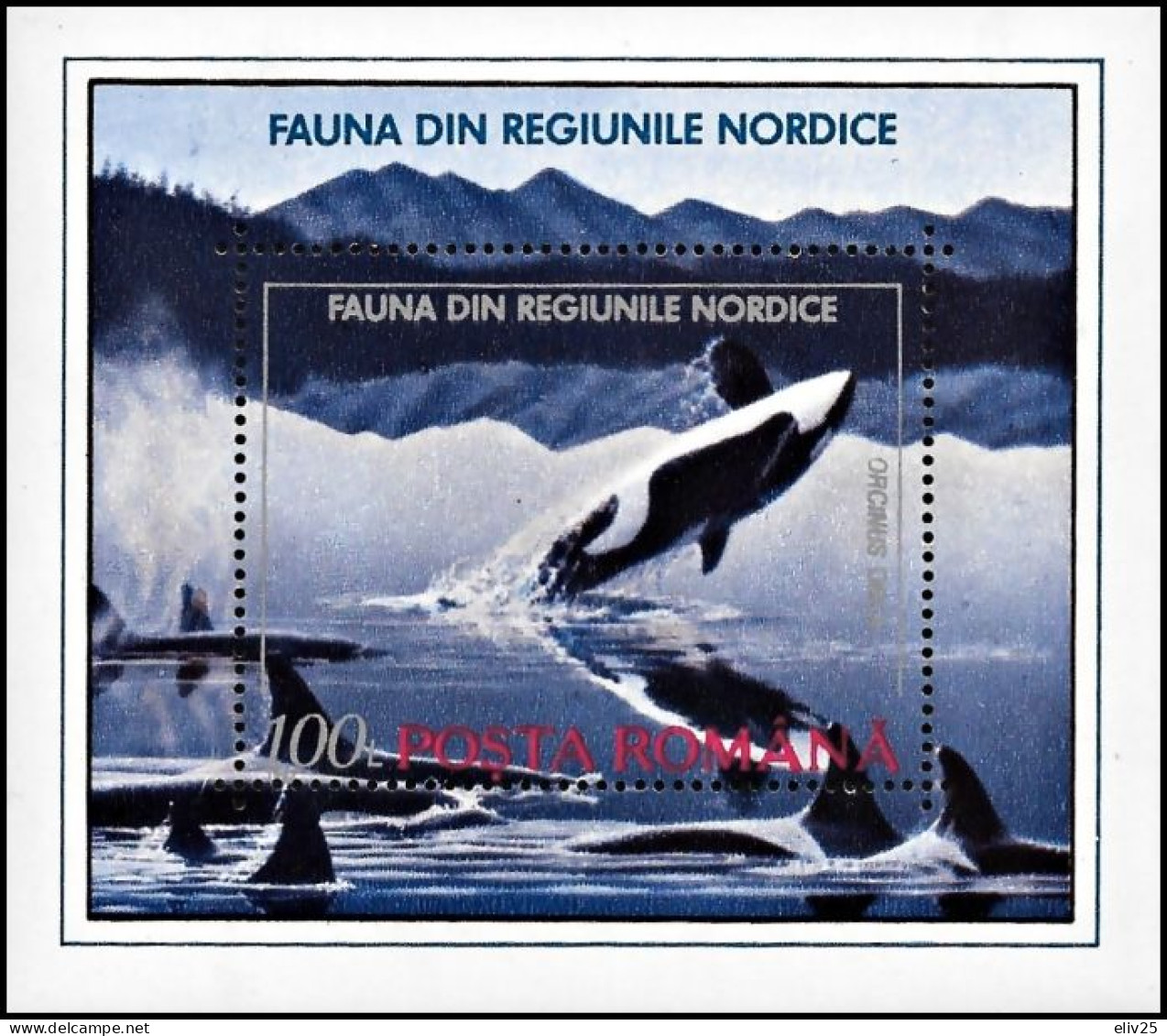 Romania 1992, Animals Of The Nordic Region Dolphins Orca - S/s MNH - Dolfijnen