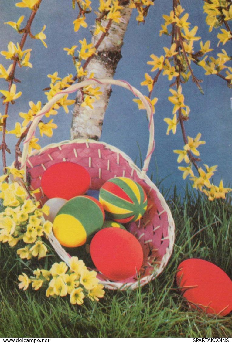 PÂQUES ŒUF Vintage Carte Postale CPSM #PBO159.A - Easter