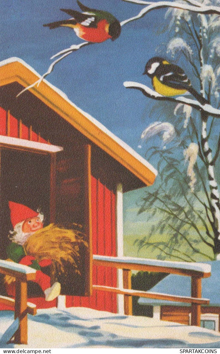 BABBO NATALE Buon Anno Natale GNOME Vintage Cartolina CPSMPF #PKD452.A - Santa Claus
