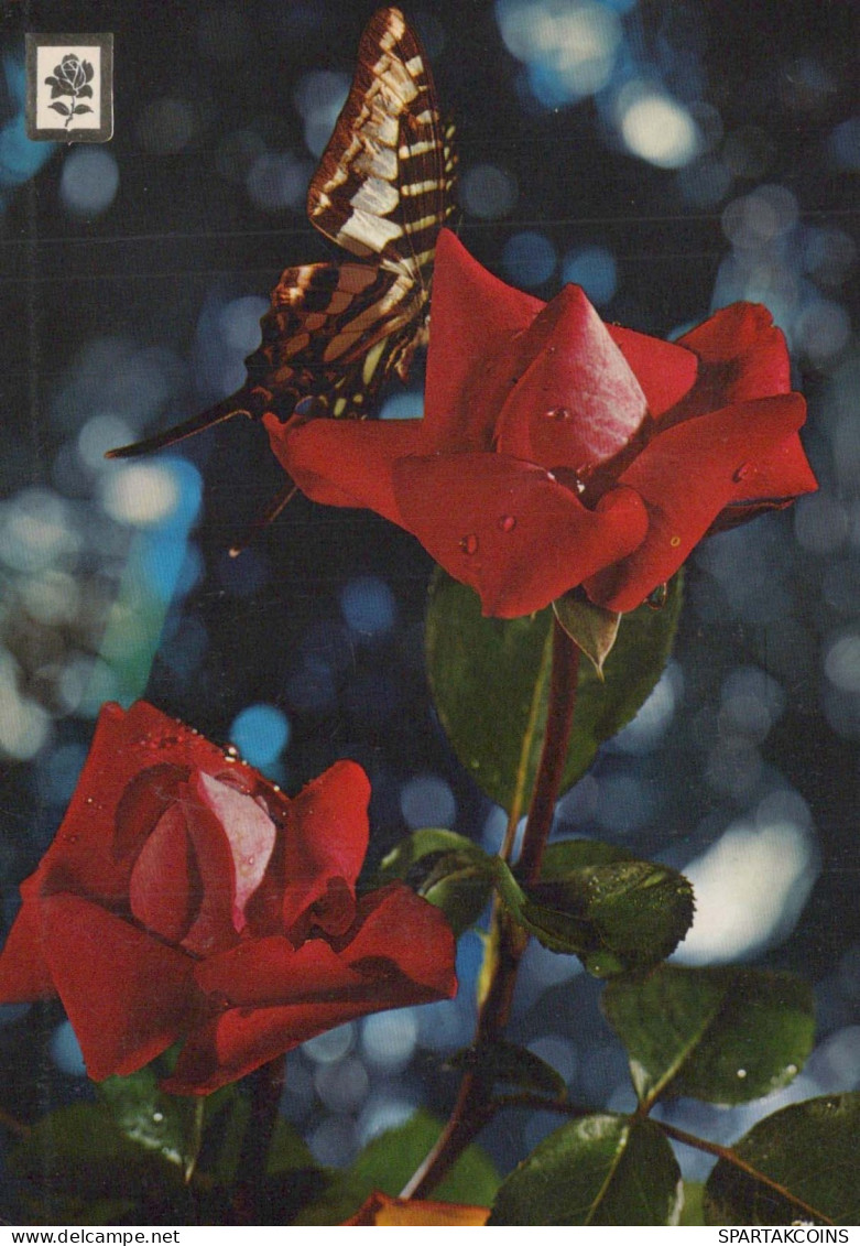 SCHMETTERLINGE Vintage Ansichtskarte Postkarte CPSM #PBZ918.A - Papillons