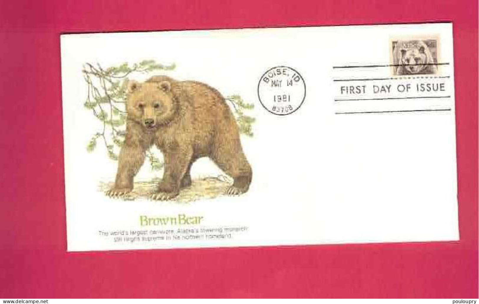 FDC - Lettre De 1981 Des USA EUAN - YT N° 1325 - Ours Brun - Osos