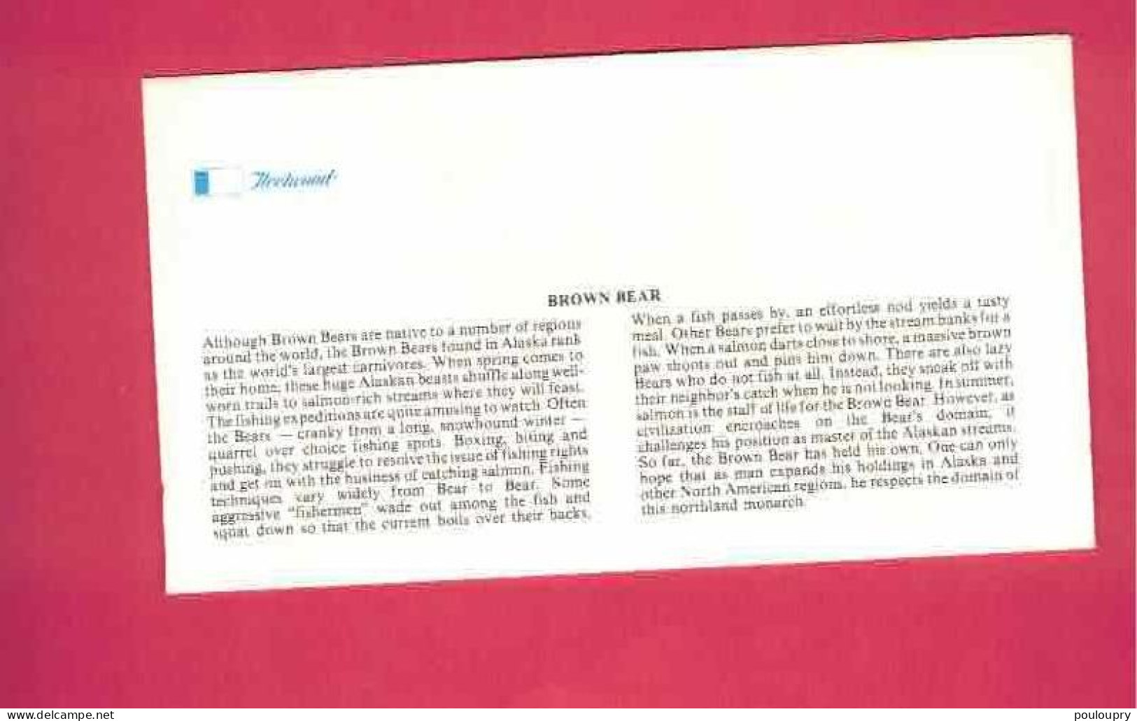 FDC - Lettre De 1981 Des USA EUAN - YT N° 1325 - Ours Brun - Bären
