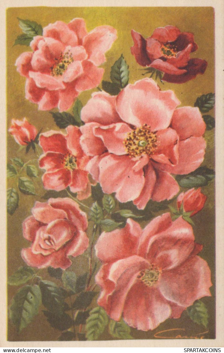 FLOWERS Vintage Ansichtskarte Postkarte CPA #PKE490.A - Fiori