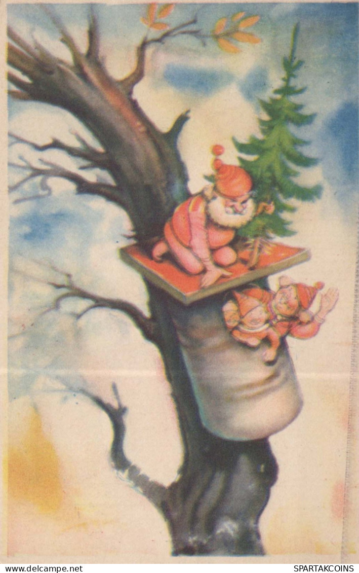 BABBO NATALE Buon Anno Natale GNOME Vintage Cartolina CPSMPF #PKD582.A - Kerstman