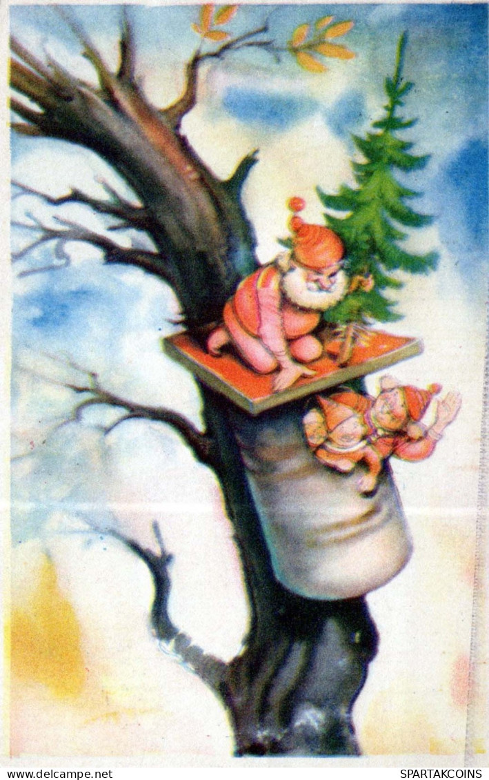 BABBO NATALE Buon Anno Natale GNOME Vintage Cartolina CPSMPF #PKD582.A - Santa Claus