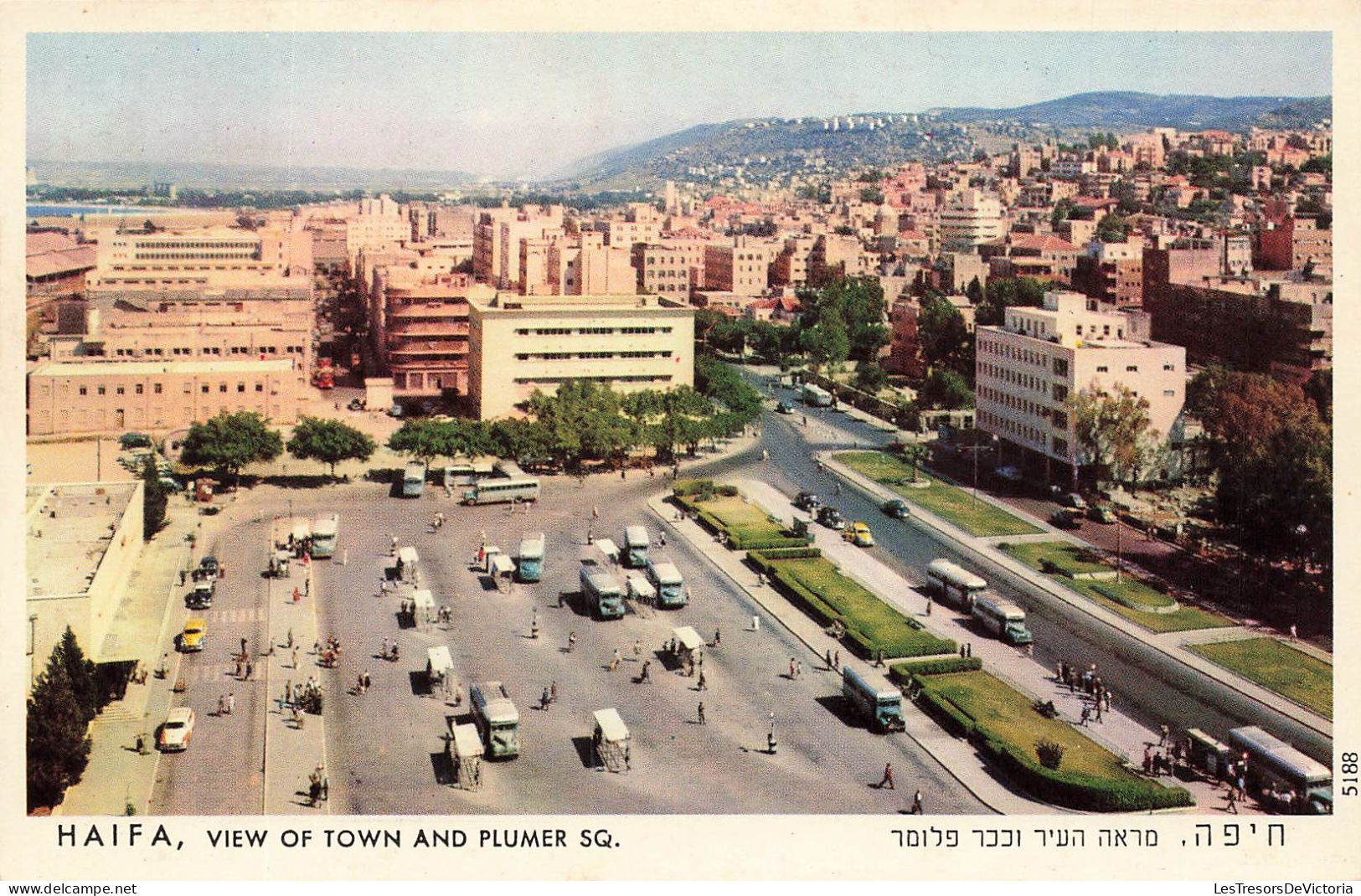 ISRAEL - Haifa - Vieuw Of Town And Plumer SQ - Animé - Voitures - Colorisé - Carte Postale Ancienne - Israël