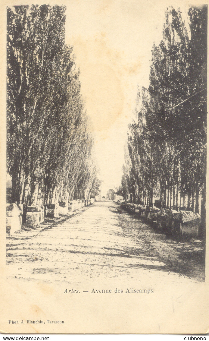 CPA - ARLES - AVENUE DES ALISCAMPS - Arles