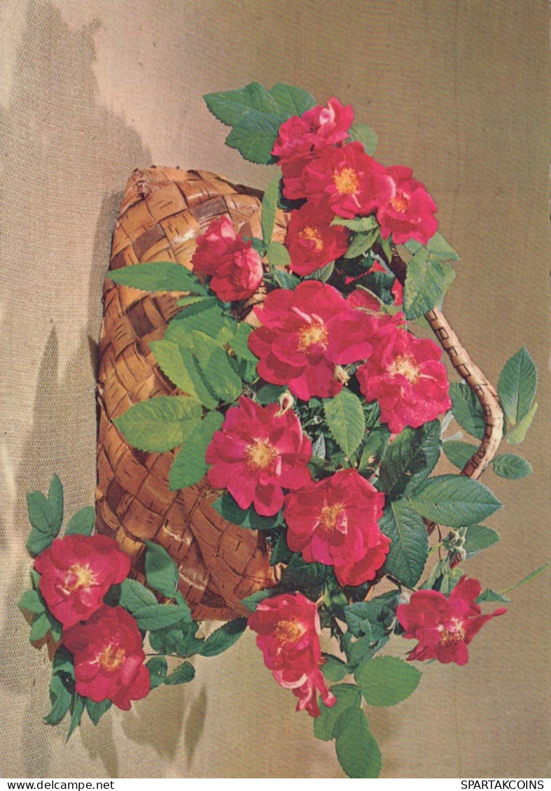 FLOWERS Vintage Postcard CPSM #PAS686.GB - Blumen