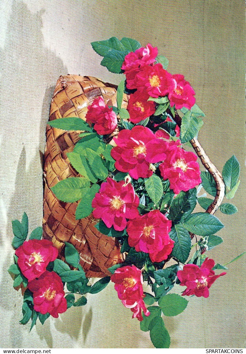 FLOWERS Vintage Postcard CPSM #PAS686.GB - Flowers