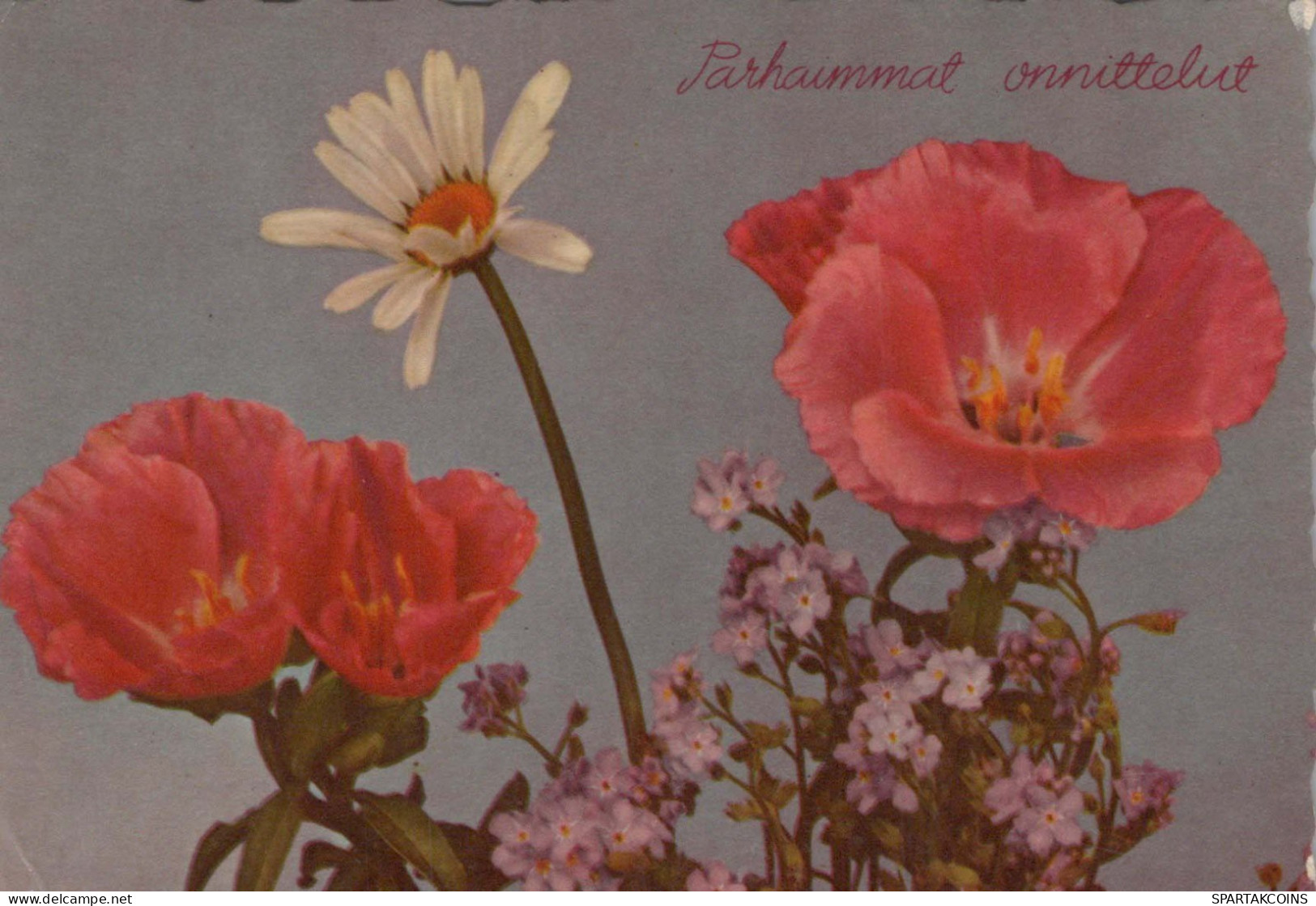 FLOWERS Vintage Postcard CPSM #PAR661.GB - Flowers