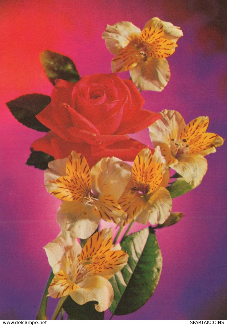 FLOWERS Vintage Postcard CPSM #PAS202.GB - Fiori