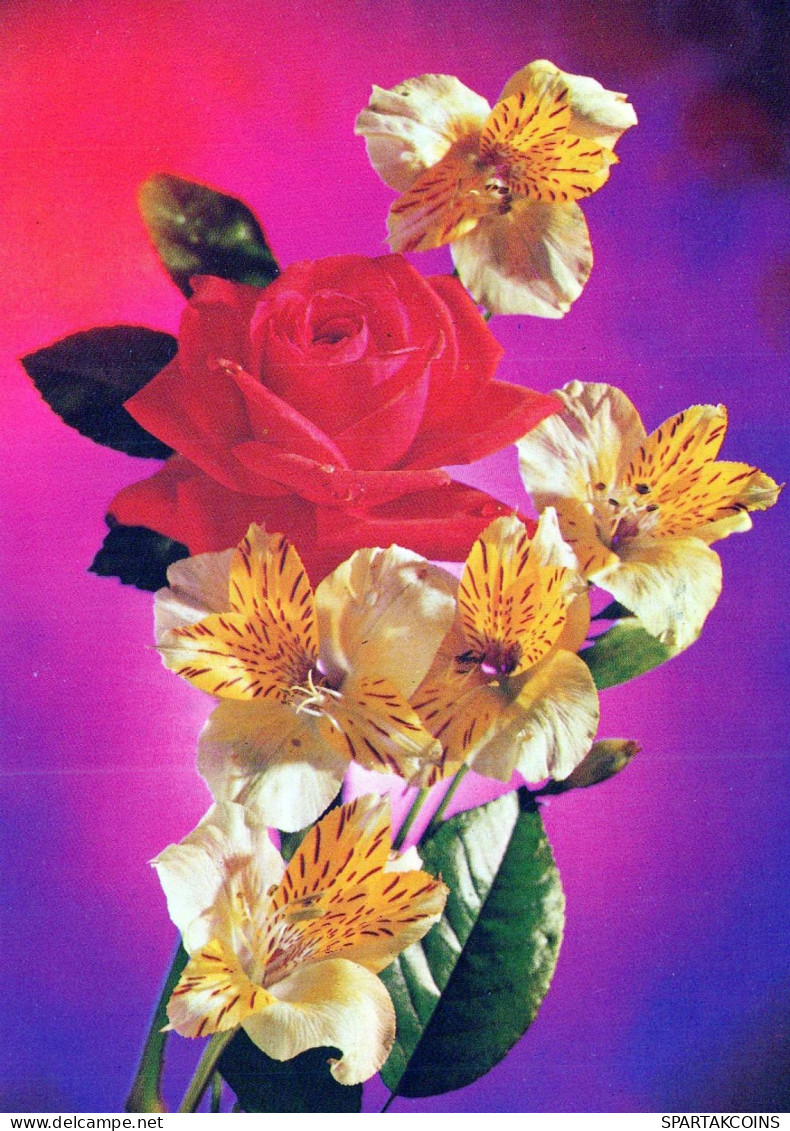 FLOWERS Vintage Postcard CPSM #PAS202.GB - Blumen