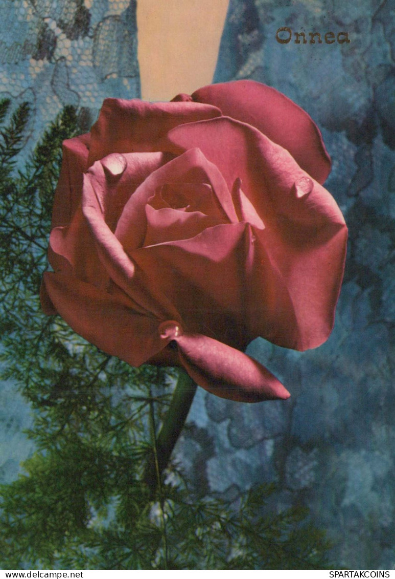 FLOWERS Vintage Postcard CPSM #PAS322.GB - Flowers