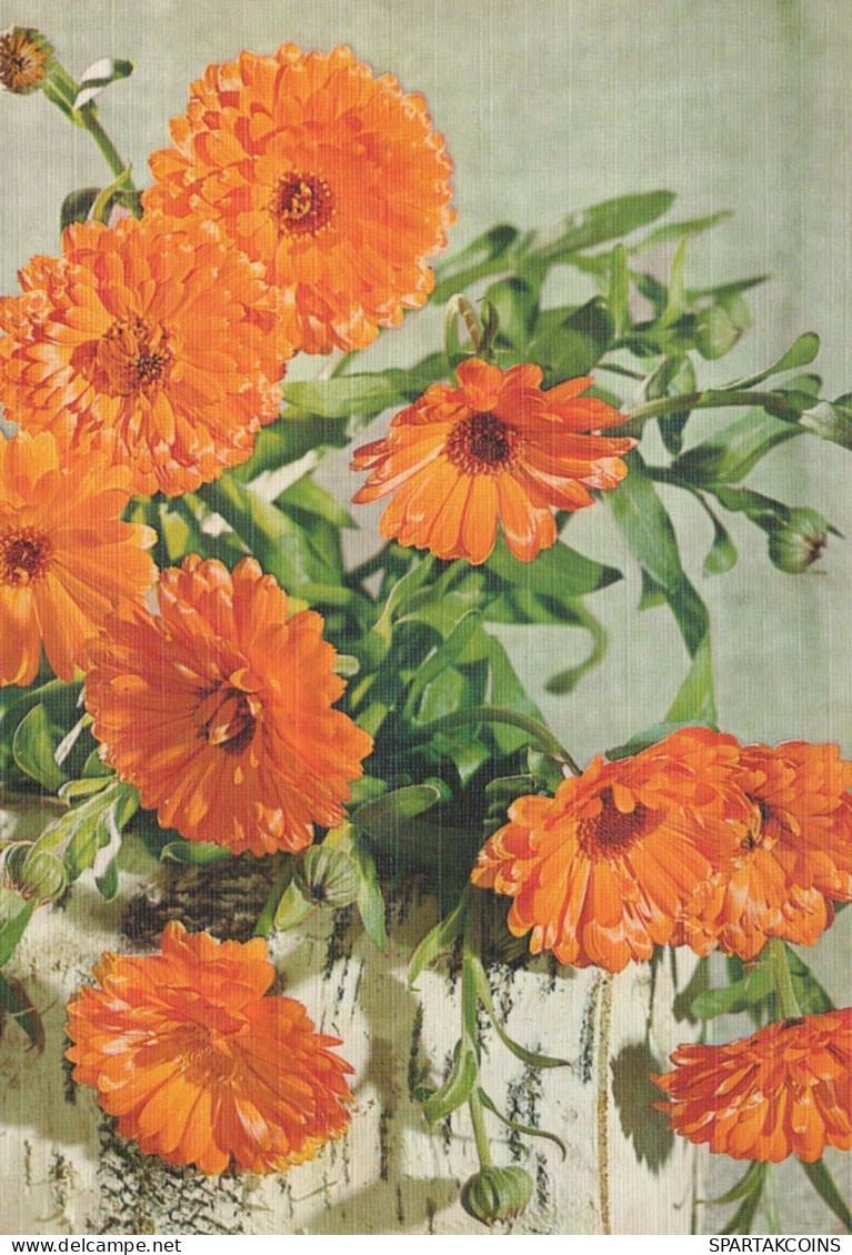 FLOWERS Vintage Postcard CPSM #PAR180.GB - Blumen