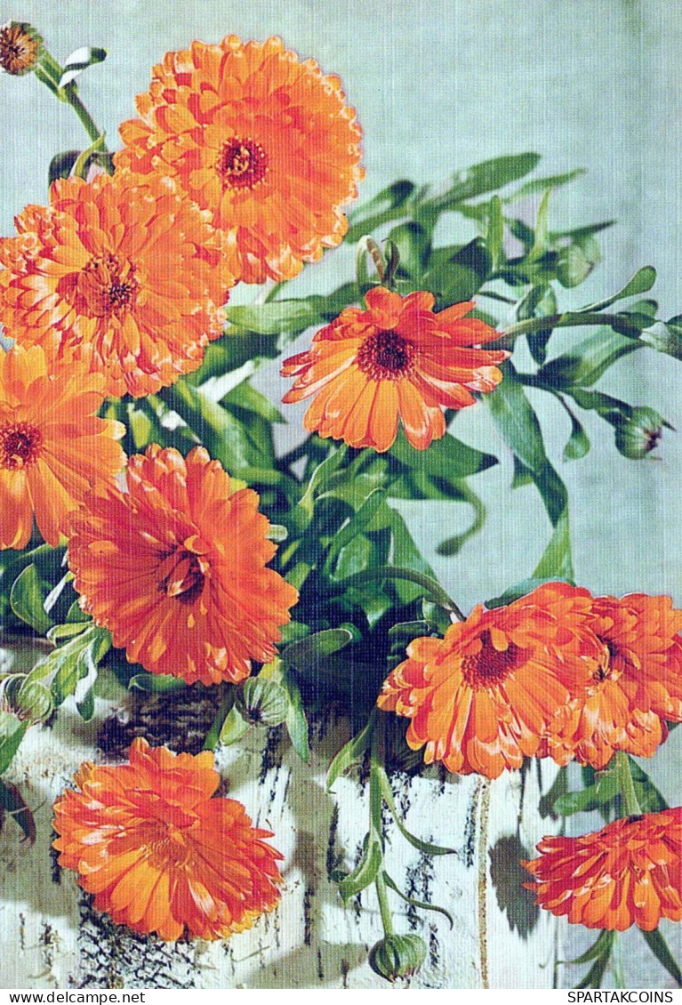 FLOWERS Vintage Postcard CPSM #PAR180.GB - Fleurs
