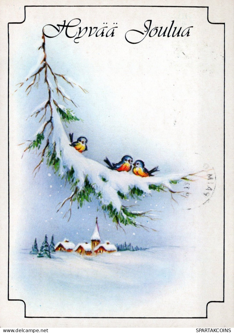 BIRD Animals Vintage Postcard CPSM #PAM914.GB - Pájaros