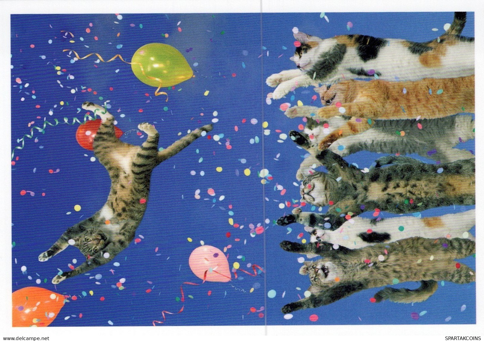 CAT KITTY Animals Vintage Postcard CPSM #PAM348.GB - Gatos