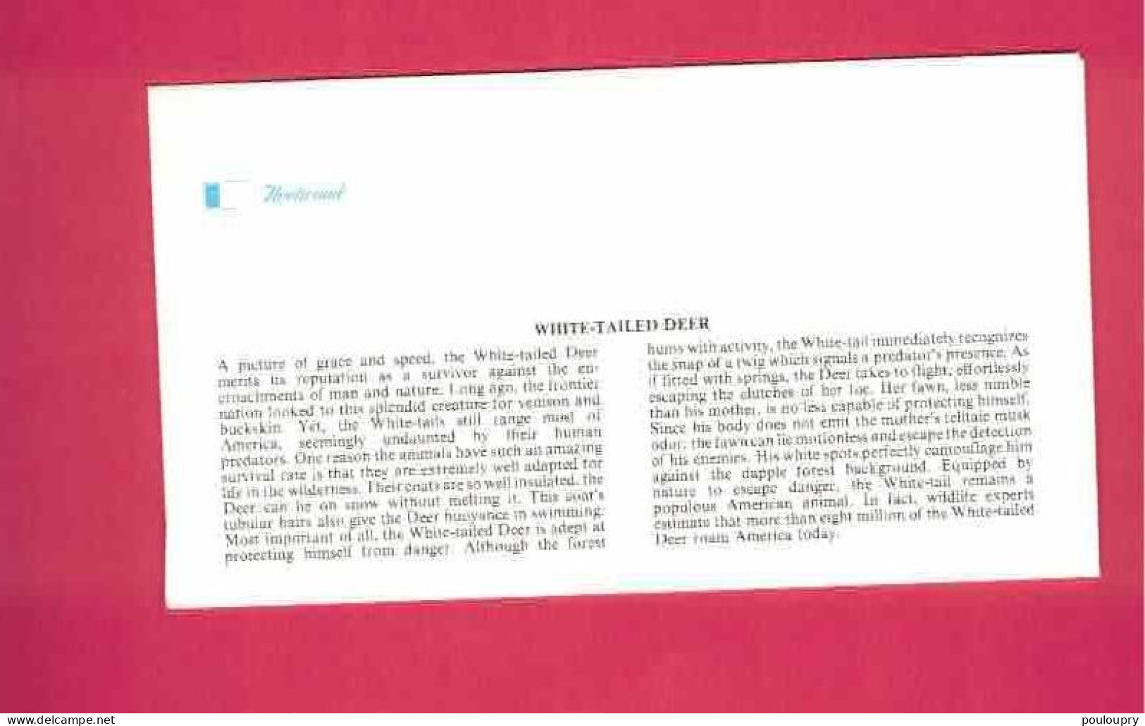 FDC - Lettre De 1981 Des USA EUAN - YT N° 1329 - Cerf à Queue Blanche - White-trailer Deer - Animalez De Caza