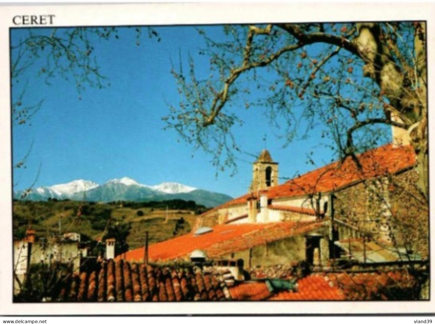 CERET. -  Lumière Et Couleurs Du Vallespir, Aurons Le Canigou.   -   écrite. Mais Non Circulée - Ceret