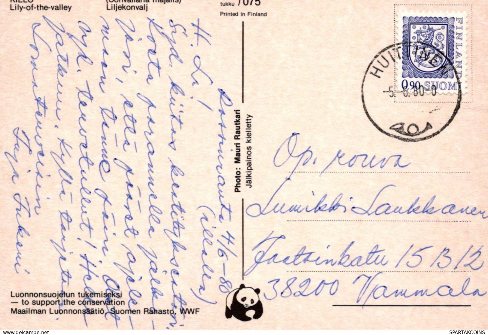 FLORES Vintage Tarjeta Postal CPSM #PAS503.ES - Flowers