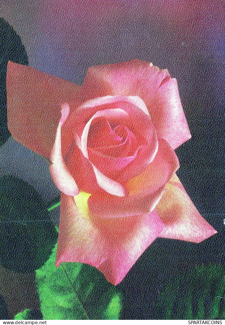 FLORES Vintage Tarjeta Postal CPSM #PAS203.ES - Flowers