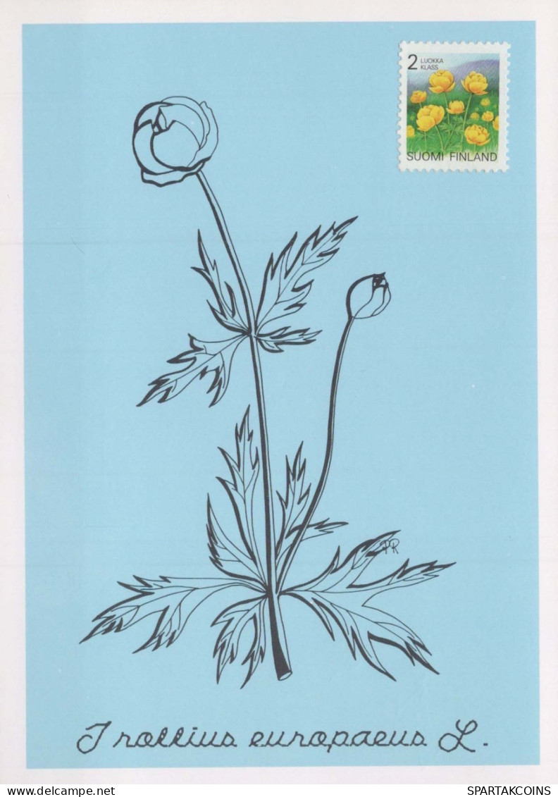 FLORES Vintage Tarjeta Postal CPSM #PAR482.ES - Fleurs