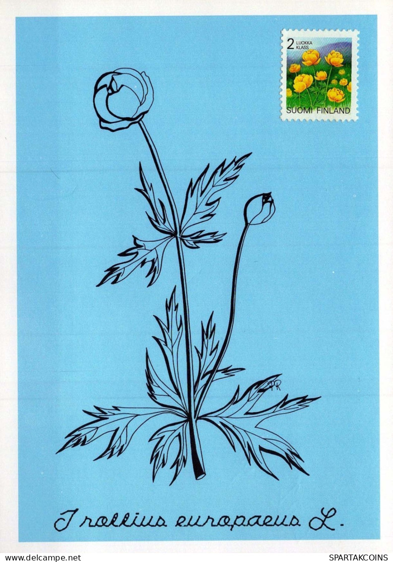 FLORES Vintage Tarjeta Postal CPSM #PAR482.ES - Fleurs