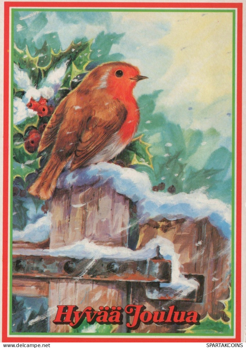 PÁJARO Animales Vintage Tarjeta Postal CPSM #PAN041.ES - Pájaros