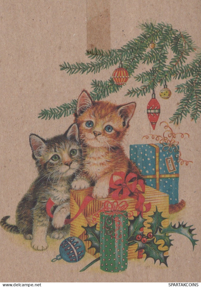 GATO GATITO Animales Vintage Tarjeta Postal CPSM #PAM601.ES - Cats