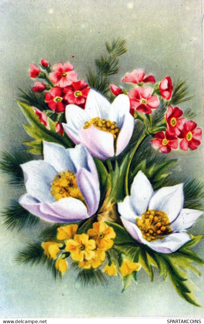 FLOWERS Vintage Postcard CPA #PKE665.GB - Fleurs
