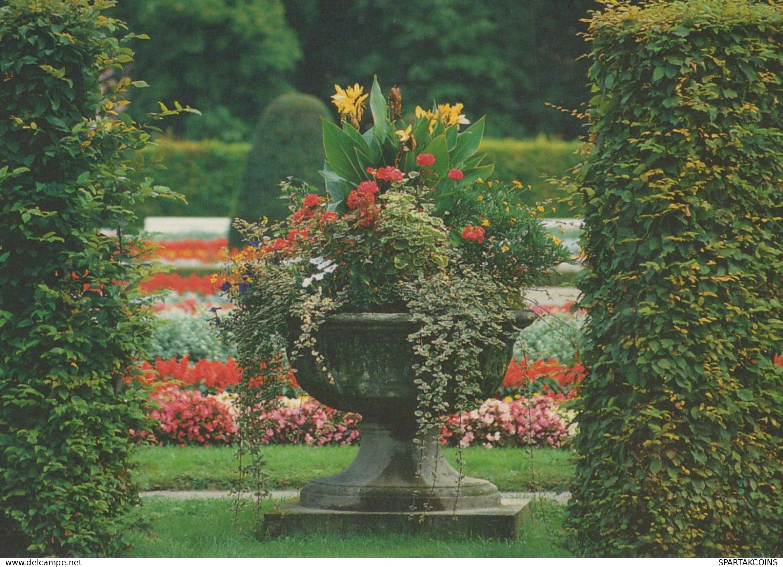 FLOWERS Vintage Postcard CPSM #PBZ549.GB - Blumen