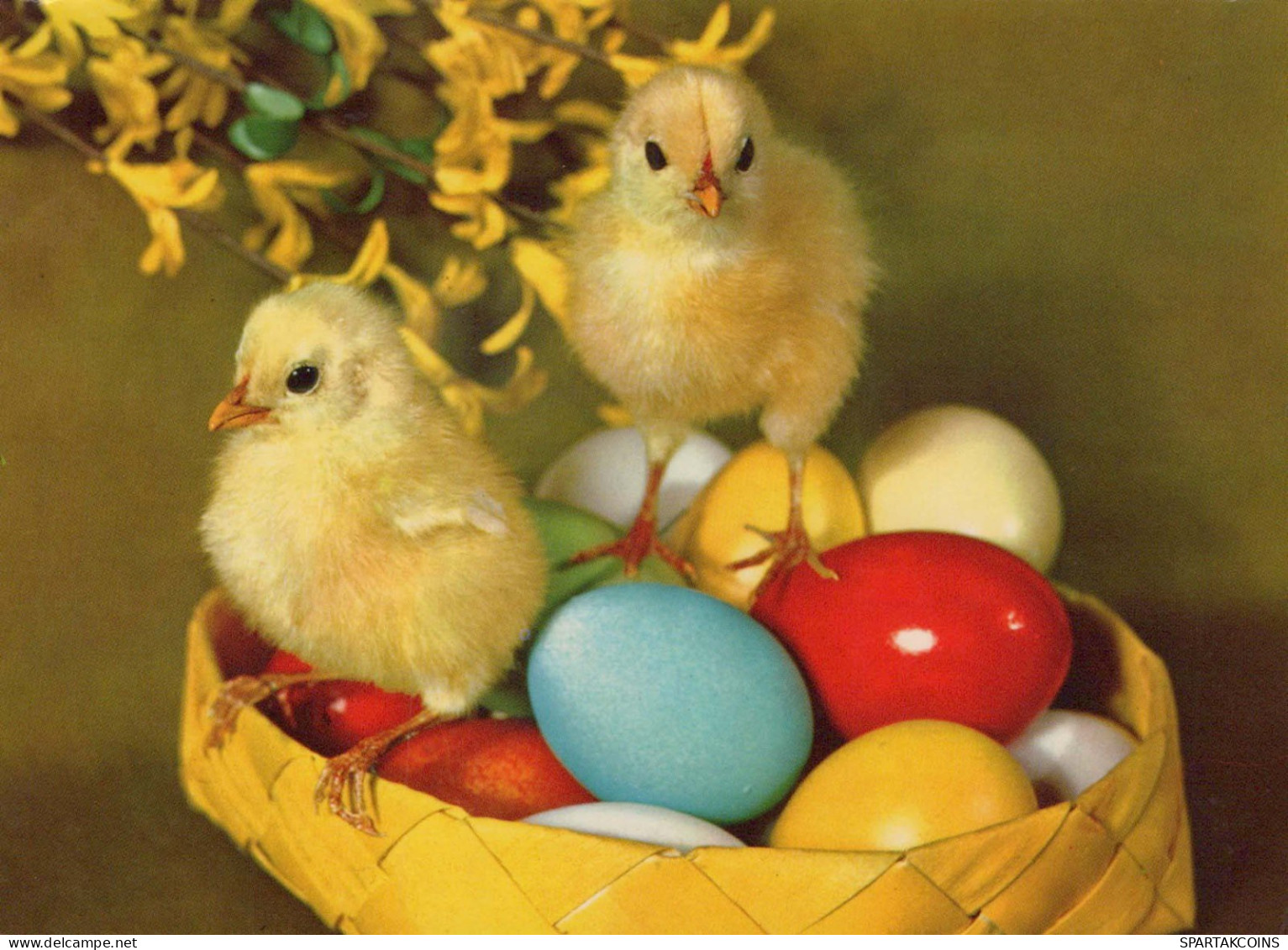 EASTER CHICKEN EGG Vintage Postcard CPSM #PBO905.GB - Ostern