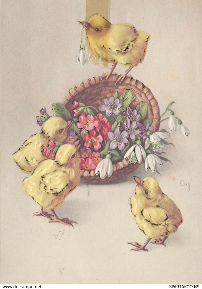 EASTER CHICKEN EGG Vintage Postcard CPSM #PBO843.GB - Ostern