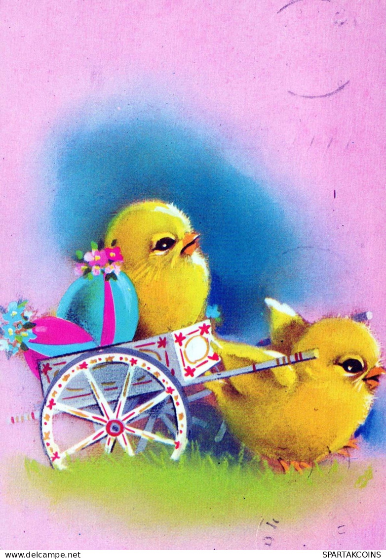 EASTER CHICKEN EGG Vintage Postcard CPSM #PBP218.GB - Ostern