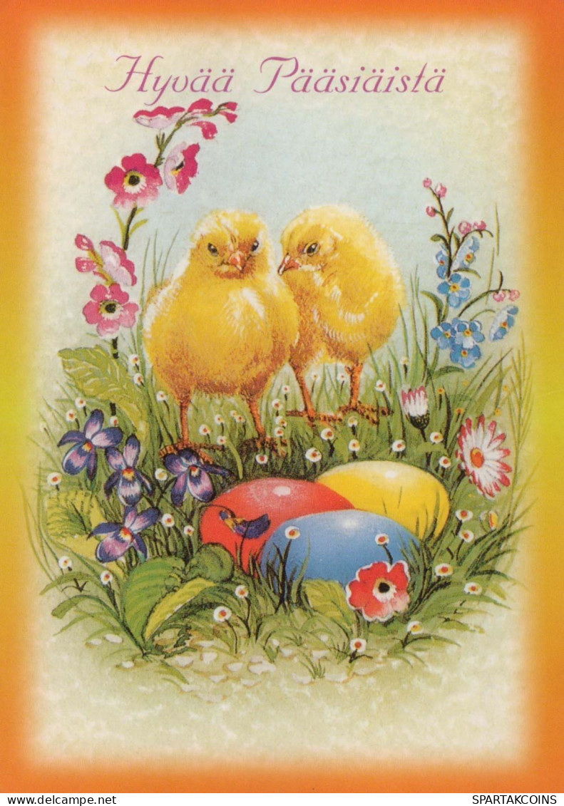 EASTER CHICKEN EGG Vintage Postcard CPSM #PBO716.GB - Ostern