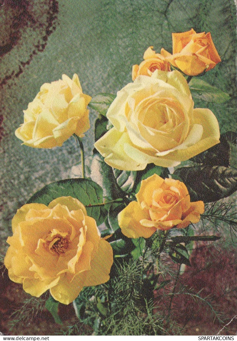 FLEURS Vintage Carte Postale CPSM #PAS567.FR - Flowers