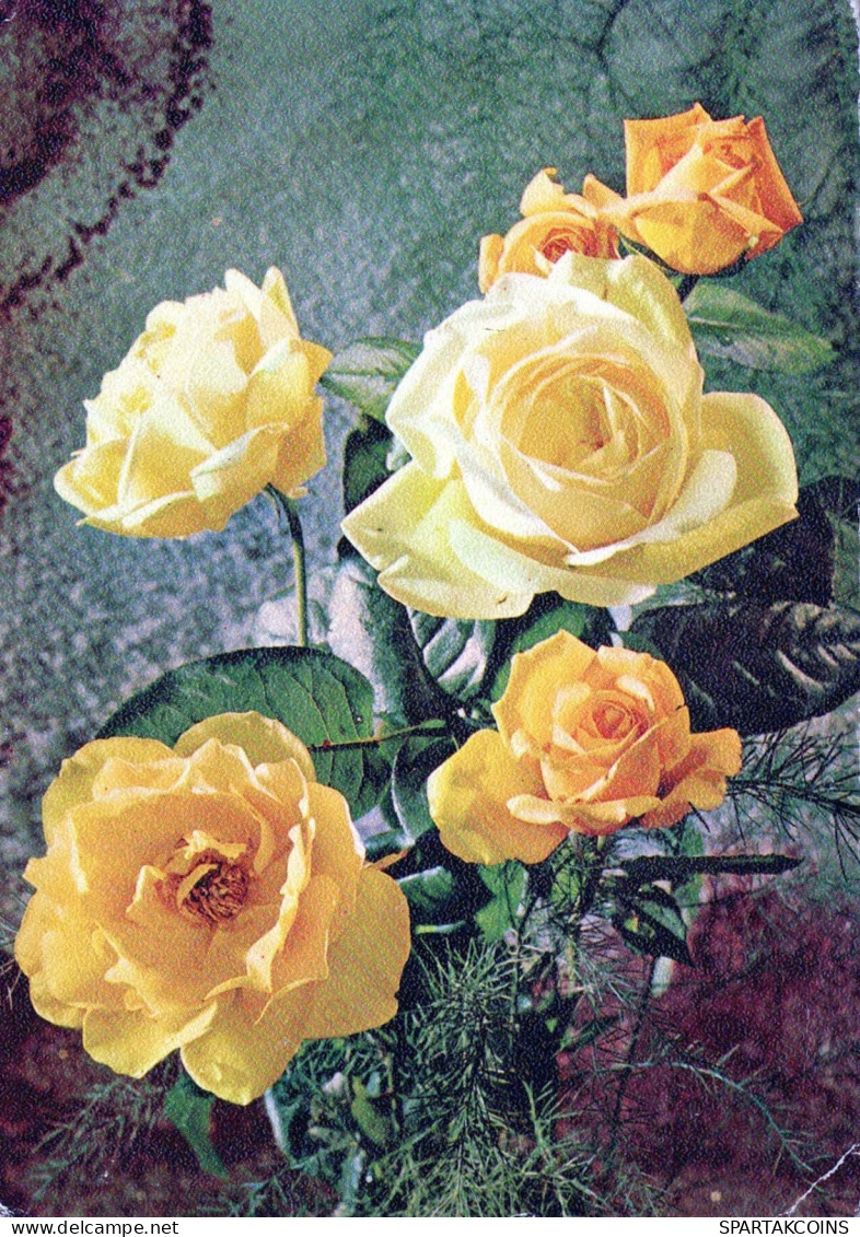 FLEURS Vintage Carte Postale CPSM #PAS567.FR - Flowers