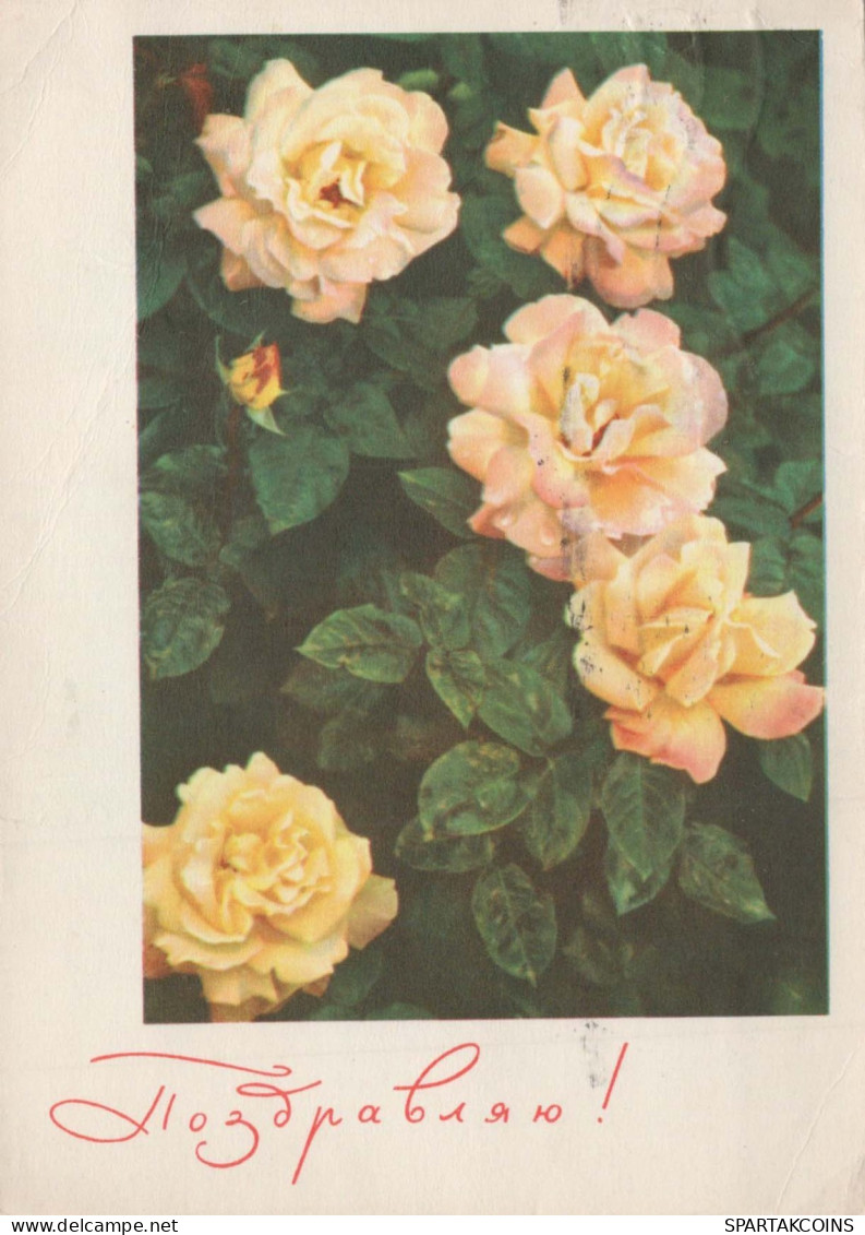 FLEURS Vintage Carte Postale CPSM #PAR423.FR - Flores