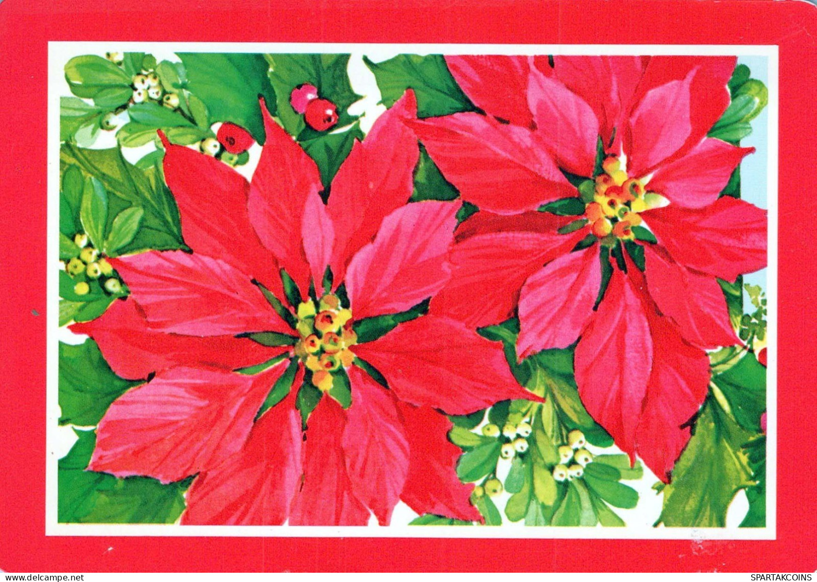 FLEURS Vintage Carte Postale CPSM #PAR783.FR - Flowers