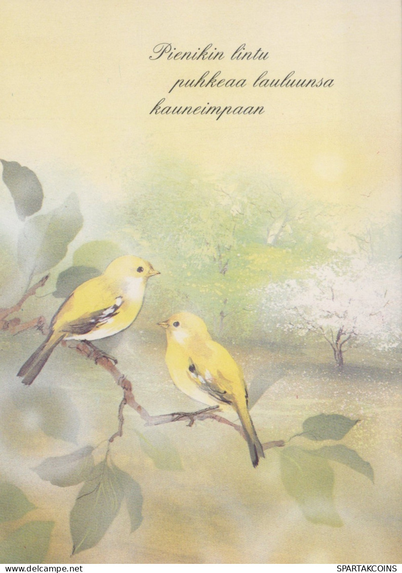 OISEAU Animaux Vintage Carte Postale CPSM #PAN163.FR - Pájaros