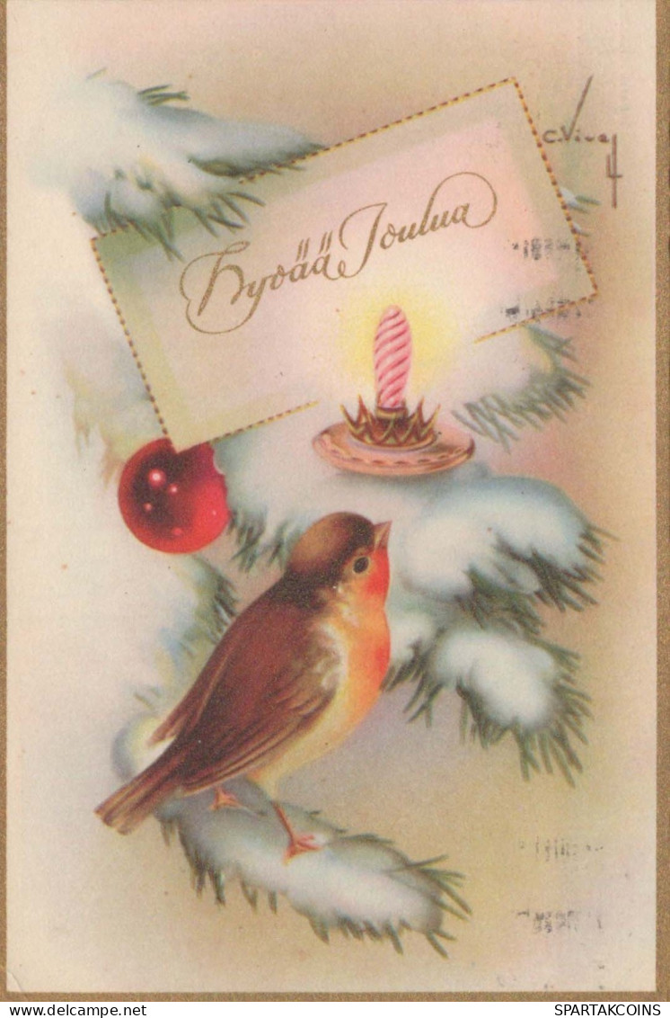 PÁJARO Vintage Tarjeta Postal CPSMPF #PKG965.ES - Oiseaux