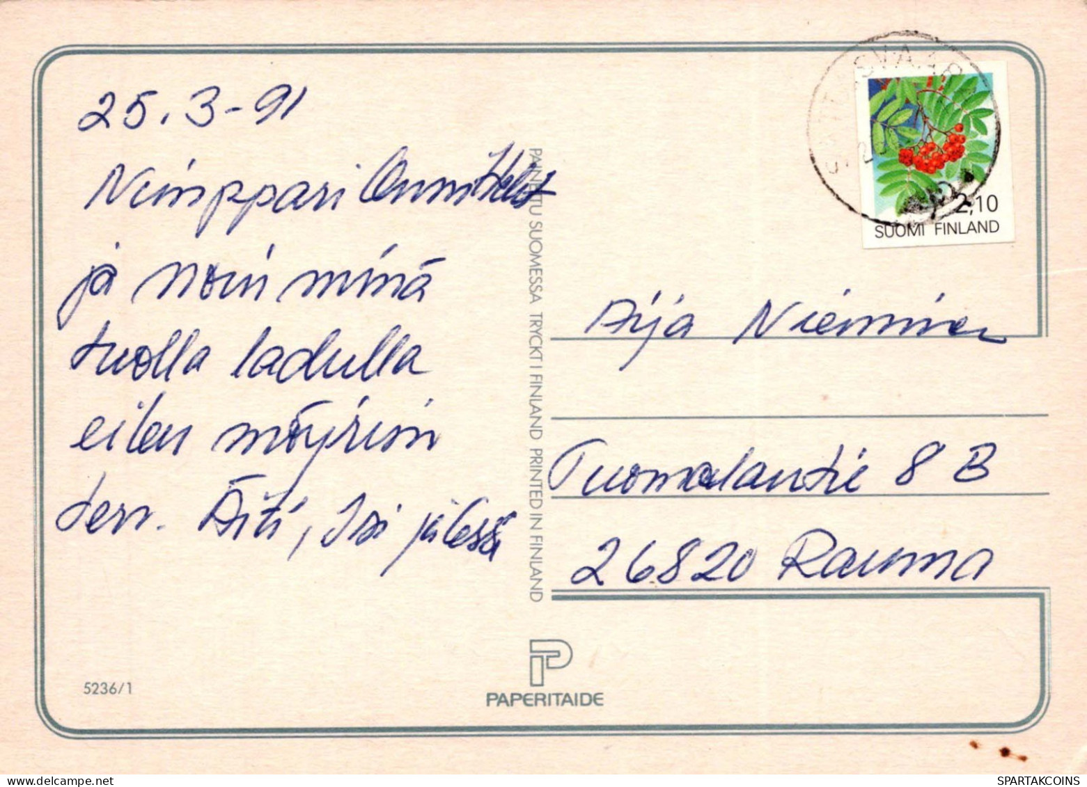 RATÓN Animales Vintage Tarjeta Postal CPSM #PBR351.ES - Autres & Non Classés