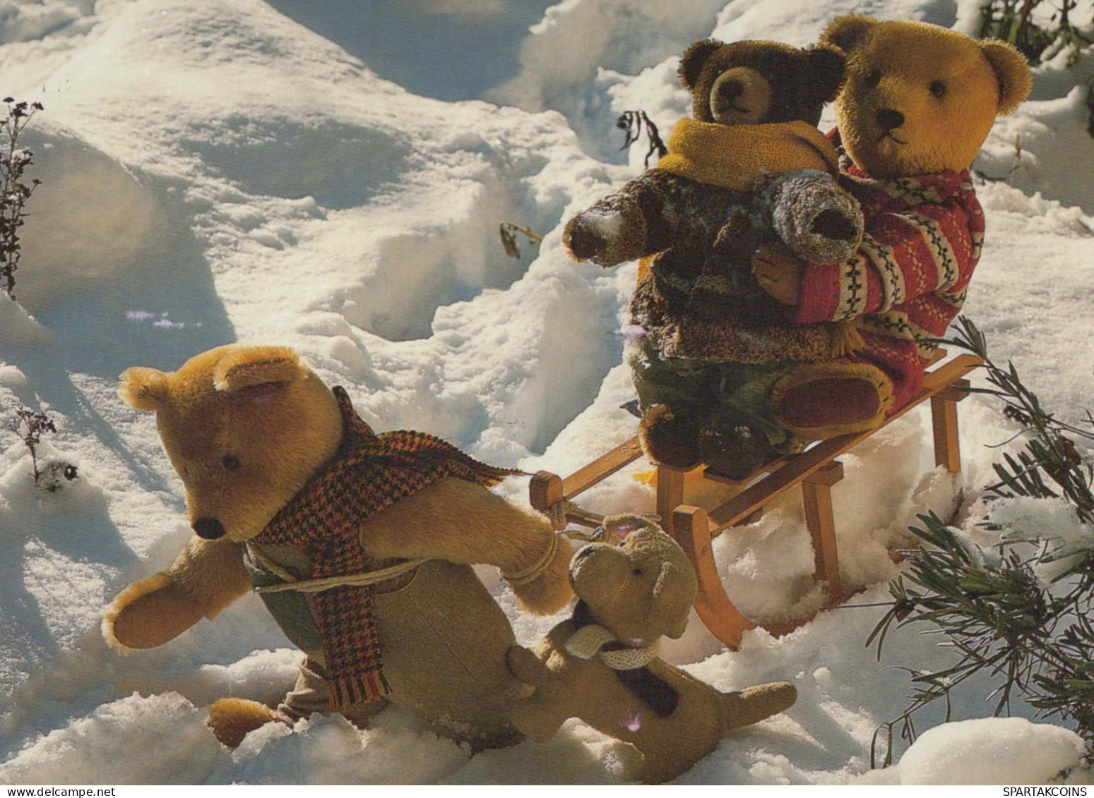 OSO Animales Vintage Tarjeta Postal CPSM #PBS082.ES - Bears