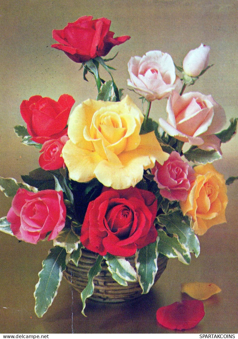 FLOWERS Vintage Ansichtskarte Postkarte CPSM #PAS628.DE - Fleurs