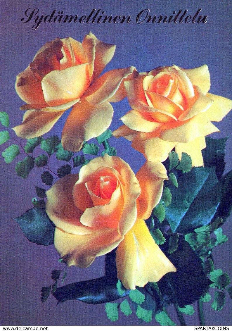 FLOWERS Vintage Ansichtskarte Postkarte CPSM #PAS025.DE - Flores