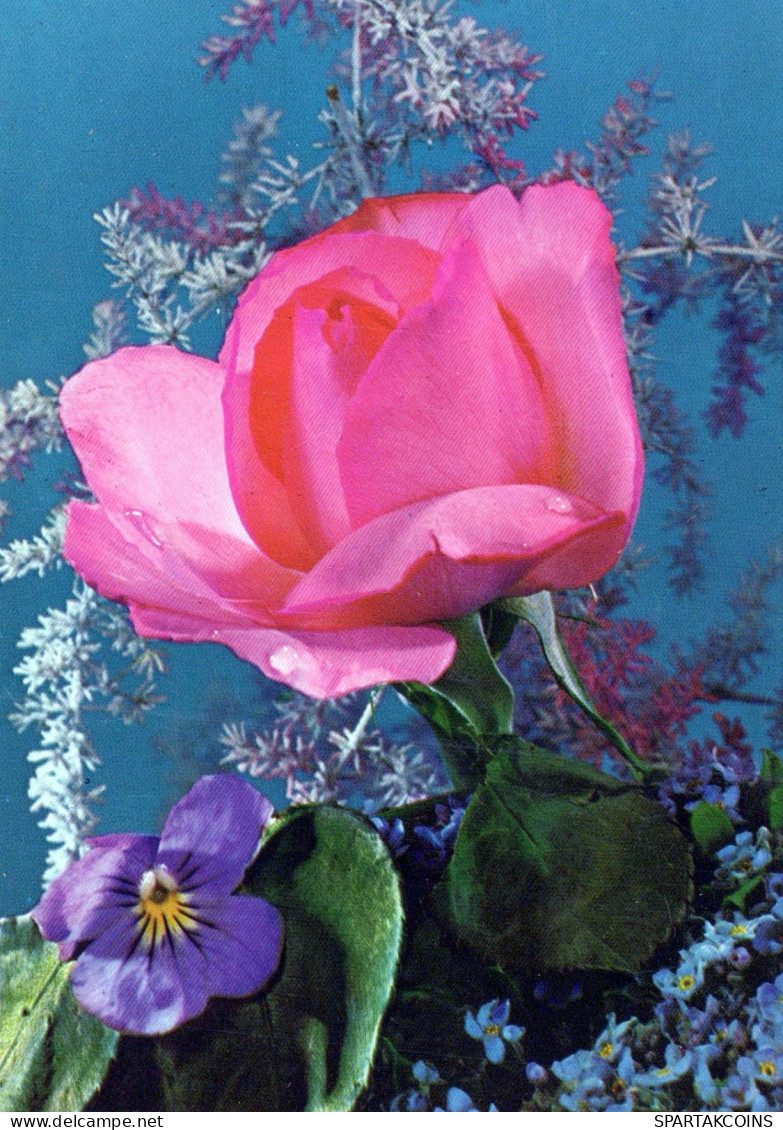 FLOWERS Vintage Ansichtskarte Postkarte CPSM #PAS205.DE - Blumen