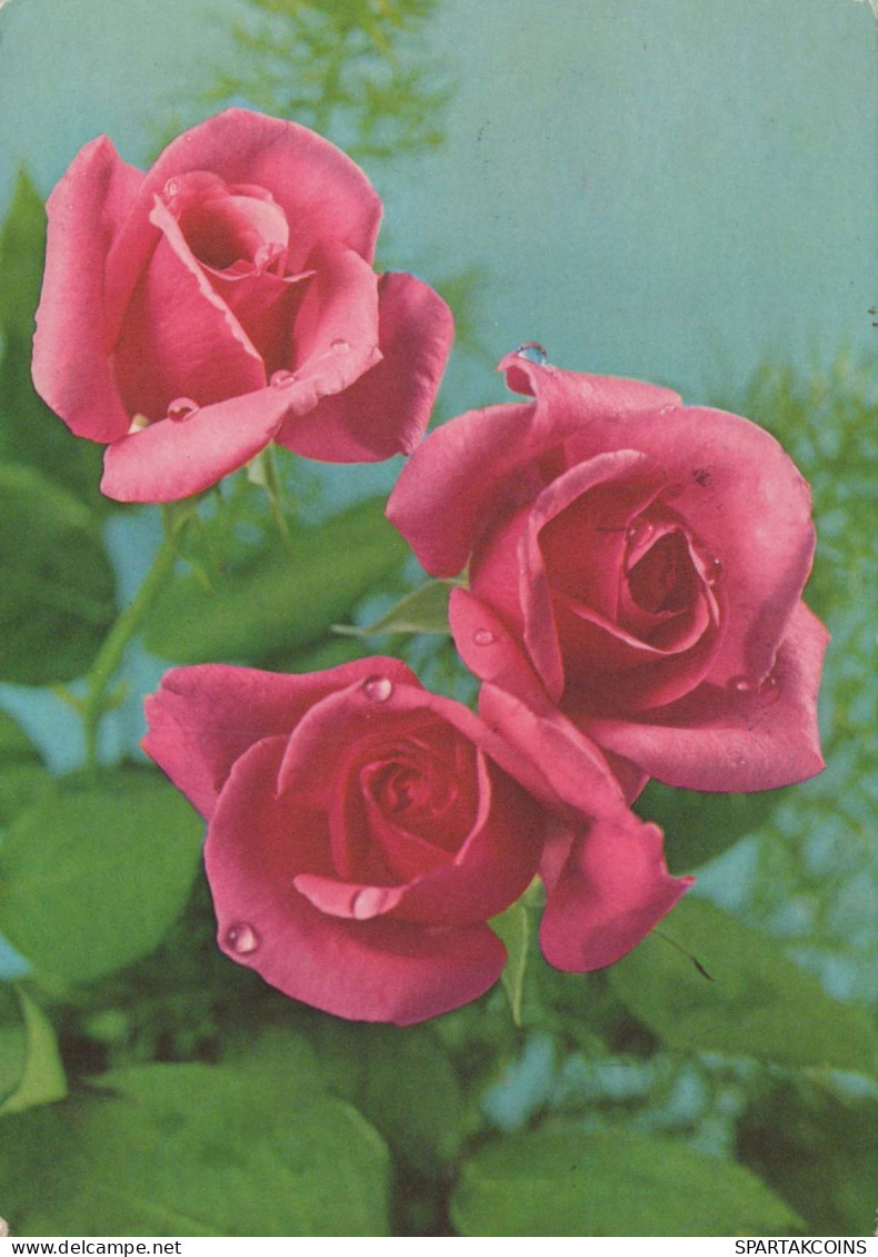 FLOWERS Vintage Ansichtskarte Postkarte CPSM #PAR964.DE - Fiori