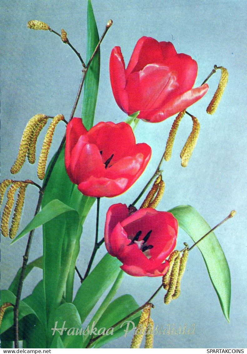 FLOWERS Vintage Ansichtskarte Postkarte CPSM #PAR062.DE - Fleurs
