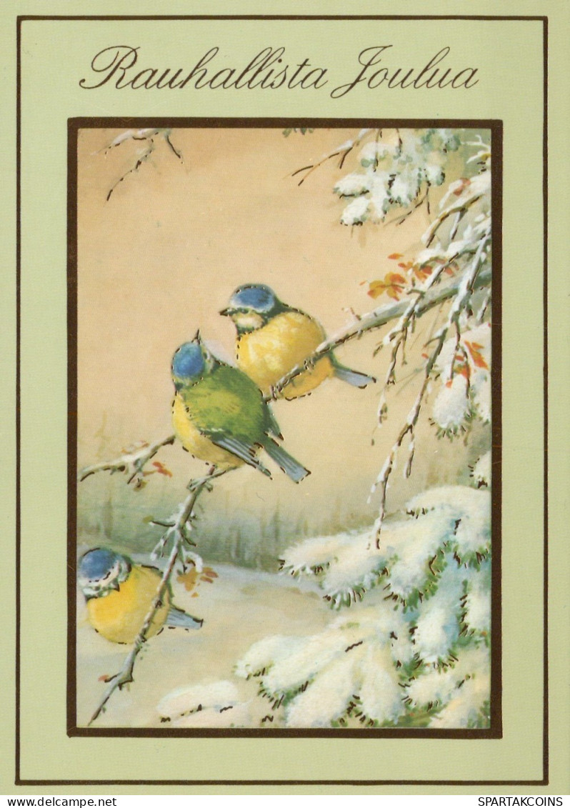 VOGEL Tier Vintage Ansichtskarte Postkarte CPSM #PAM854.DE - Birds